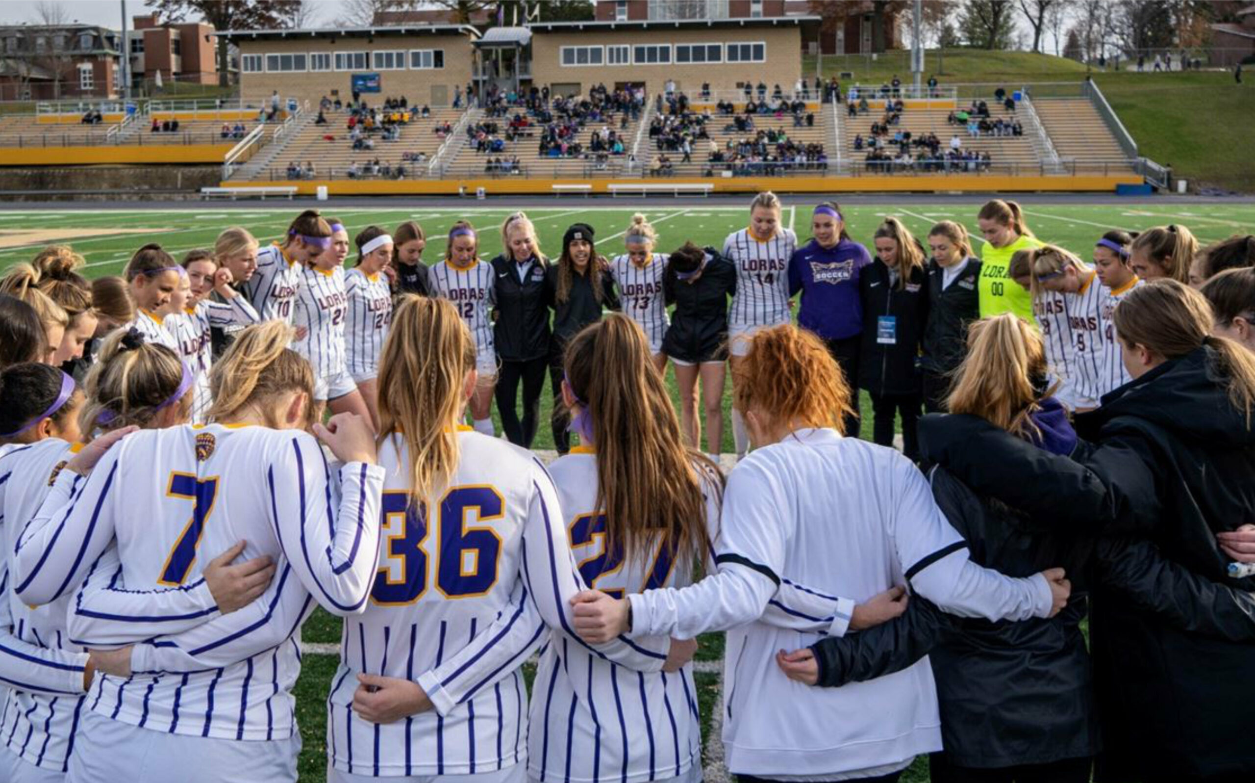 bingo plus reward points login